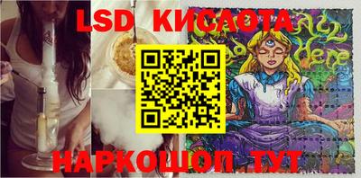 PSILOCYBIN Кандалакша