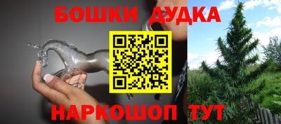 бошки Кингисепп