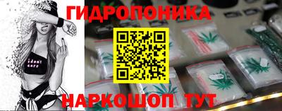 PSILOCYBIN Кандалакша