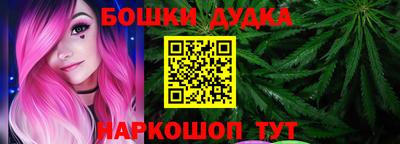 бошки Кингисепп