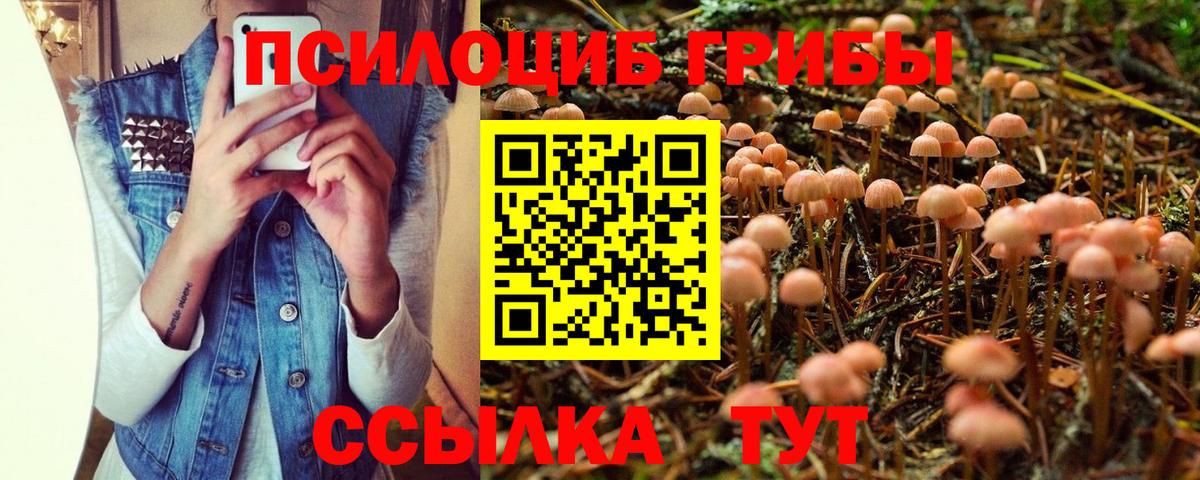 Псилоцибиновые грибы GOLDEN TEACHER Камень-на-Оби